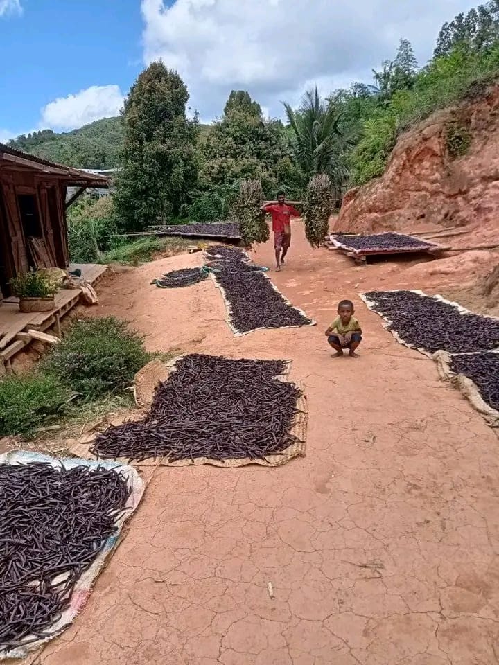 Nachhaltigkeit beim Gewürzanbau: Herausforderungen und Chancen